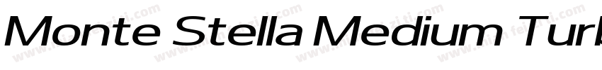 Monte Stella Medium Turbo字体转换